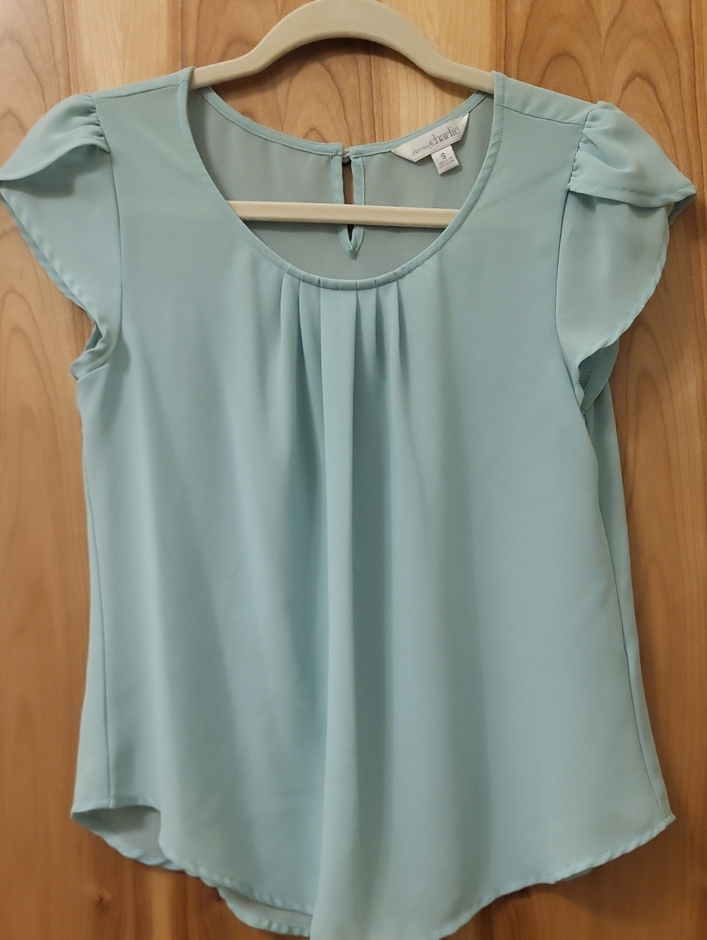 Charming Charlie Mint Green Flutter-Sleeve Pleated Blouse